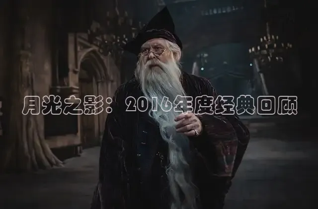 月光之影：2016年度经典回顾